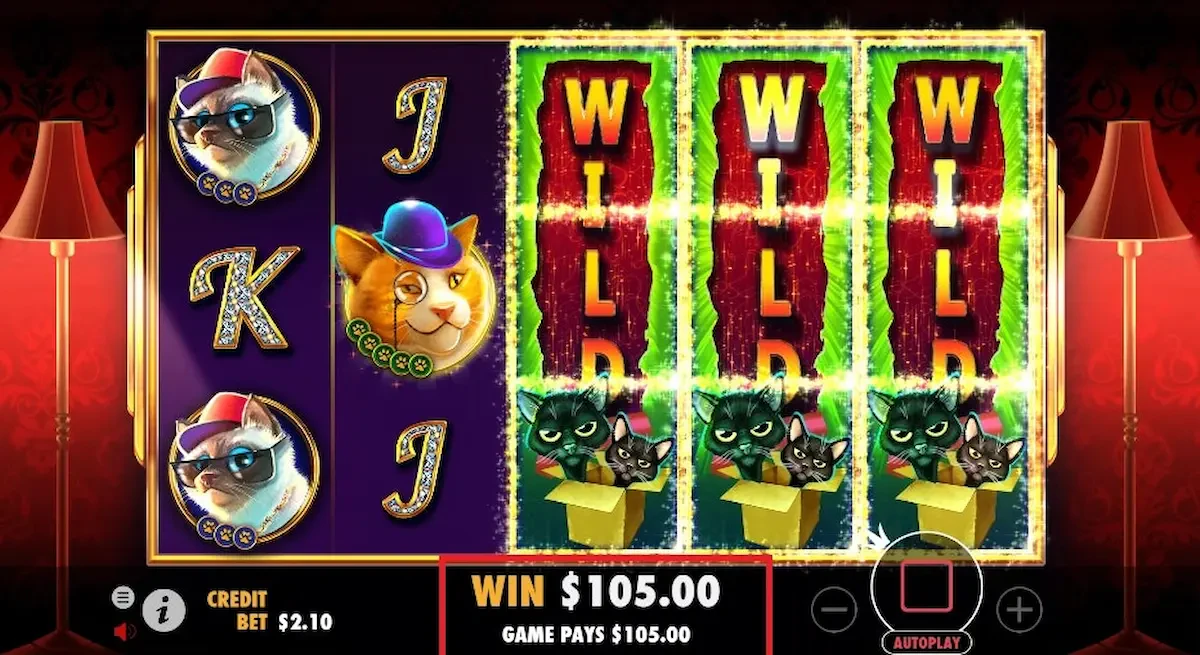 découvrez ce qu’est la volatilité des machines à sous, comment elle influence vos chances de gagner et comment choisir la volatilité adaptée à votre style de jeu pour optimiser vos sessions de casino en ligne.